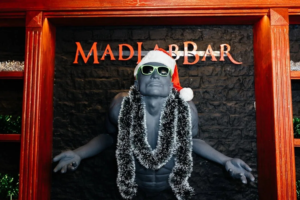 MadLabBar, фото 5